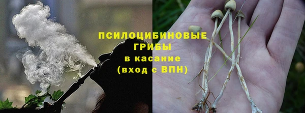 гидропоника Богородицк