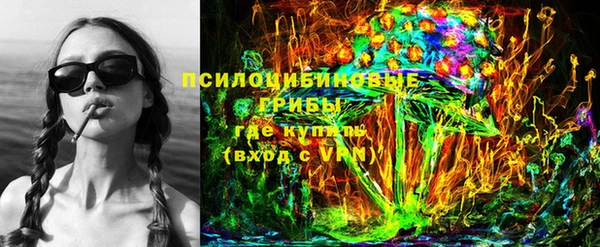 гидропоника Богородицк