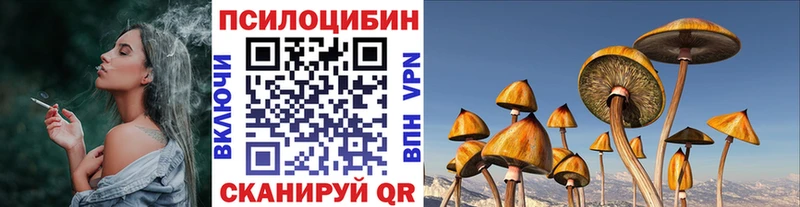 Галлюциногенные грибы Psilocybine cubensis  Саранск 